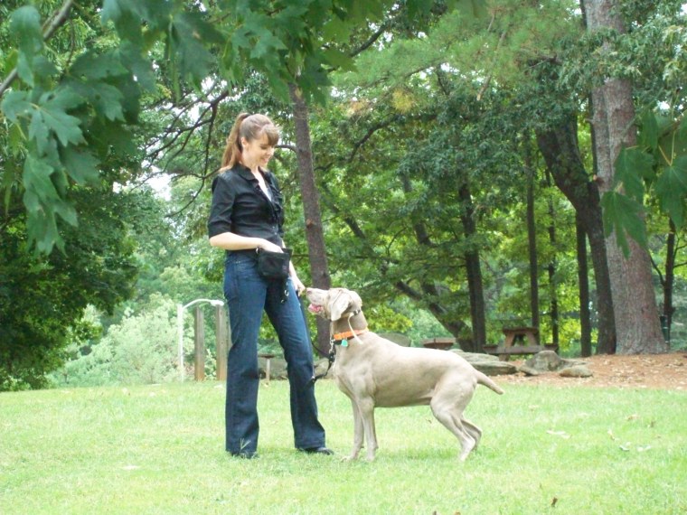 Victoria stilwell dog training academy cheap